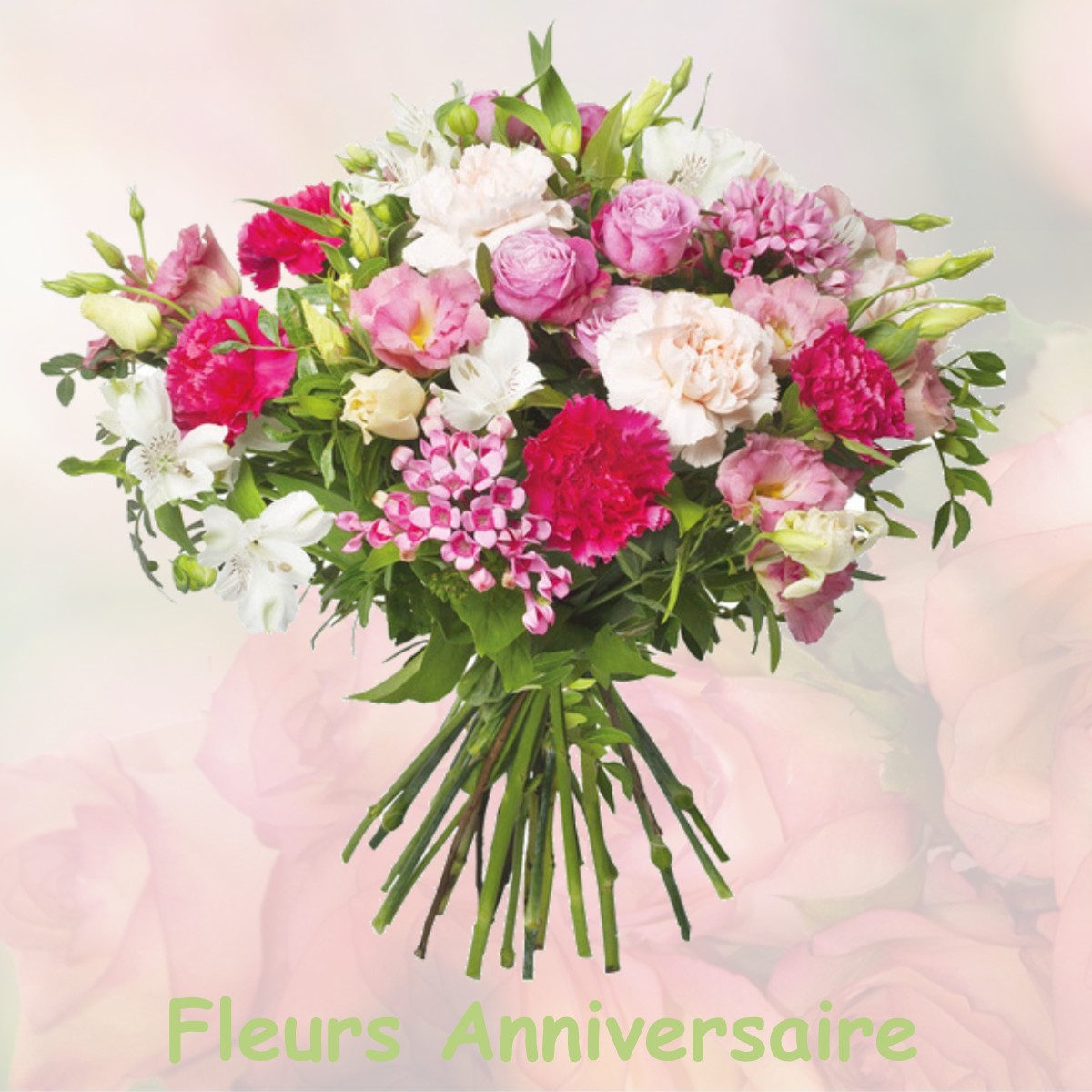 fleurs anniversaire AIX-NOULETTE